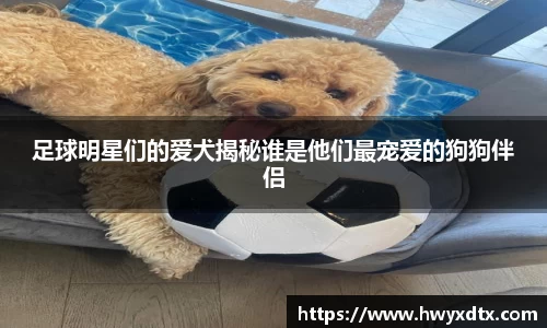 long8唯一官方网站